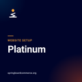 Website setup: Platinum