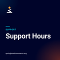 Support: Support Hours